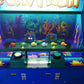 Funny-Fish-Lottery-Redemption-game-machine-Amusement-Coin-Operated-Ticket-Redemption-Electronic-games-for-kids-Tomy-Arcade